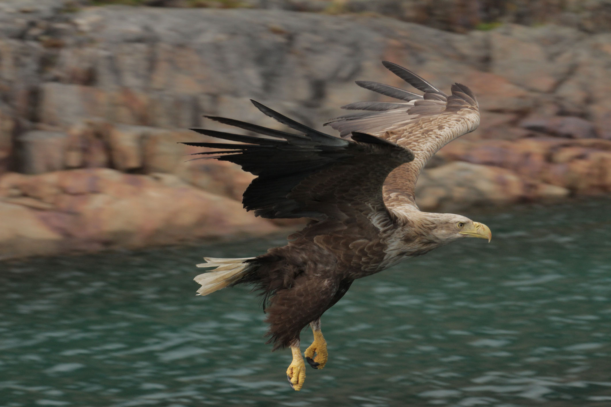 Lofoten Opplevelser